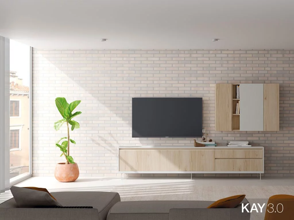 Composición de un salón moderno con un mueble TV más una estantería con puertas