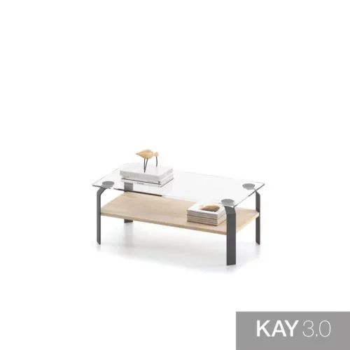 Mesa de centro con el sobre de cristal y el estante de madera modelo F
