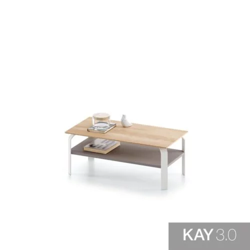Mesa de centro con sobre y estante de madera modelo F