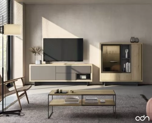Salón minimalista con un mueble TV acompañado de una vitrina
