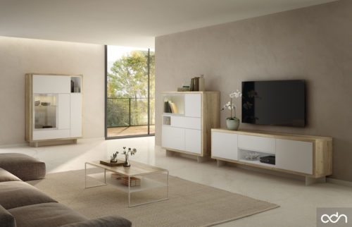 Composición de salón con mueble para TV con dos vitrinas