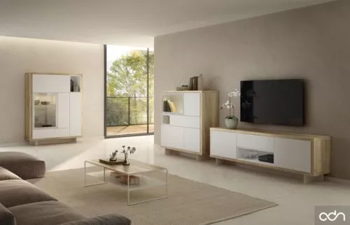 Composición de salón con mueble para TV con dos vitrinas